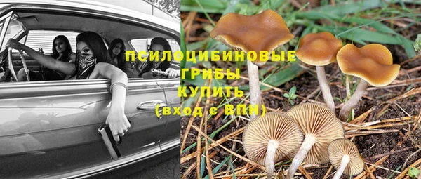прущая мука Абаза