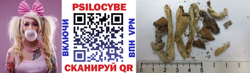 Псилоцибиновые грибы Cubensis  Кораблино 